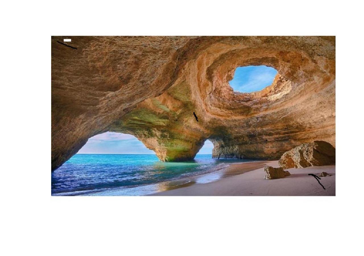Sea & You Algarve Apartment Lagos Eksteriør billede