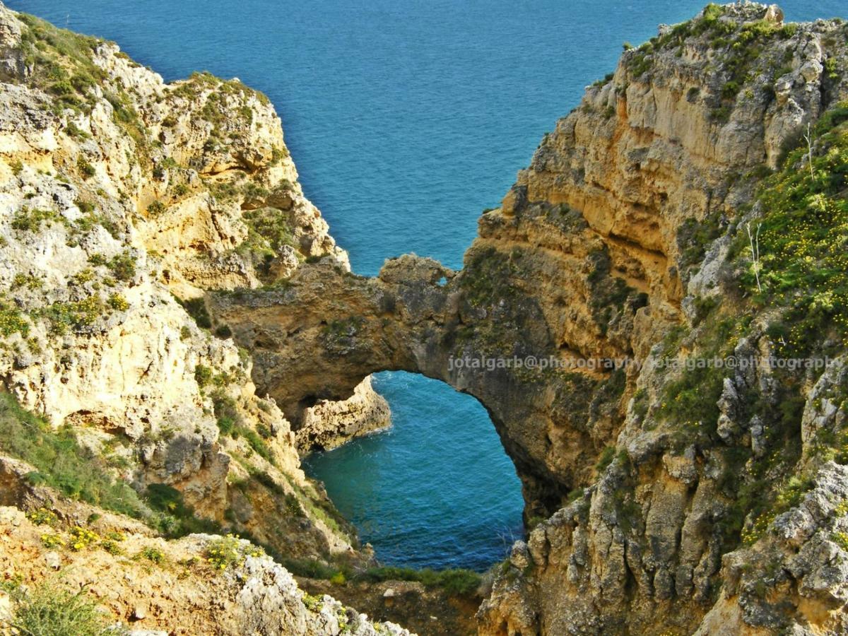 Sea & You Algarve Apartment Lagos Eksteriør billede
